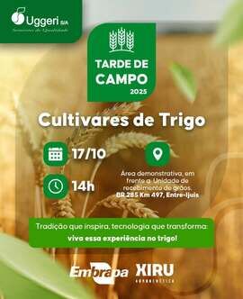 Tarde de Campo 2025 - Cultivares de Trigo